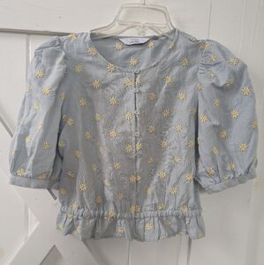 & other stories size 4 (US small) blue puffed sleeve embroidered top